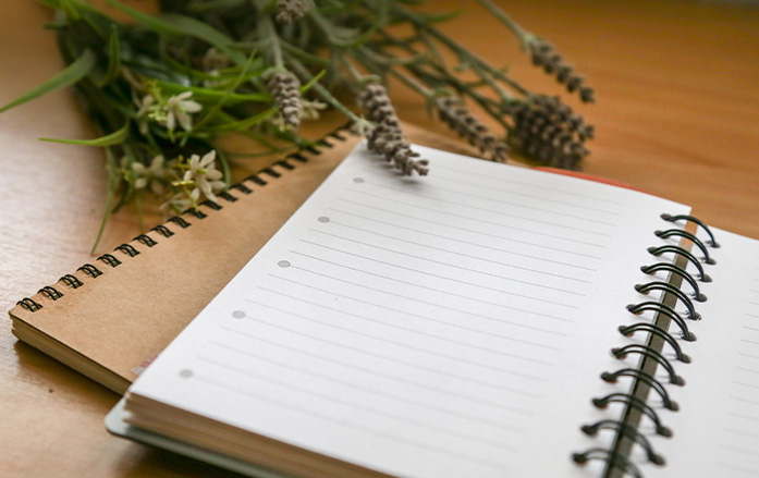 あおねっと通信